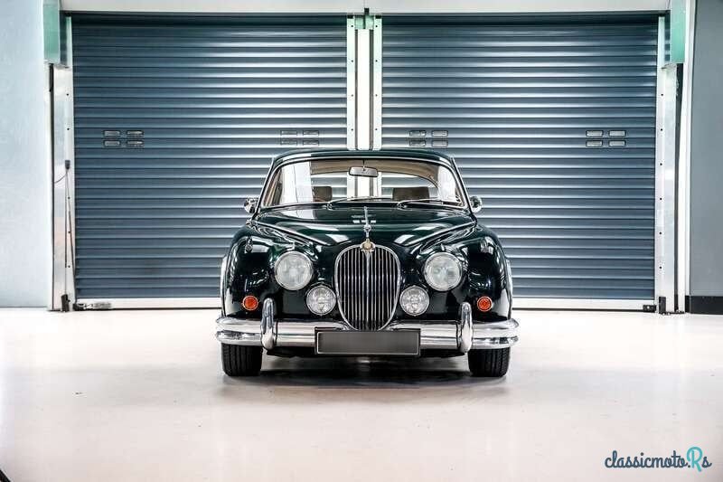 1962' Jaguar E-Type photo #6