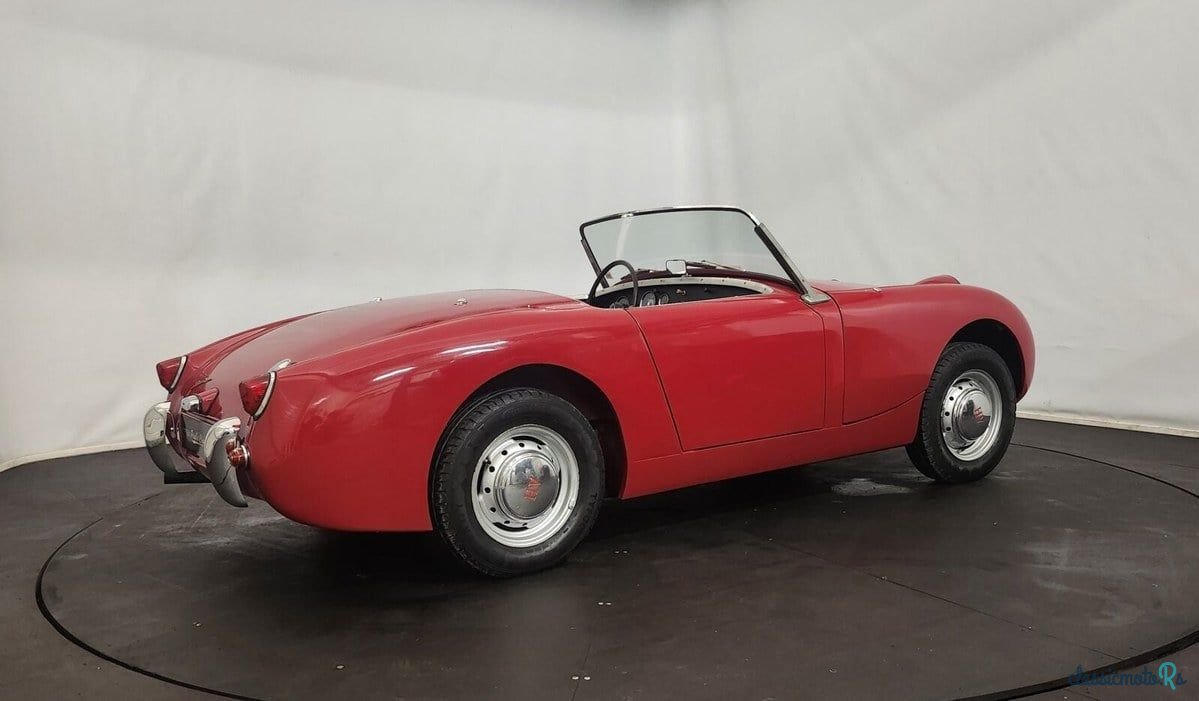 1958' Austin-Healey Sprite photo #4