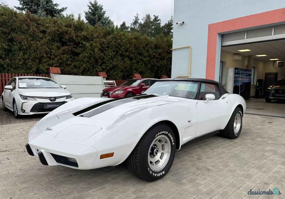 1979' Chevrolet Corvette photo #1