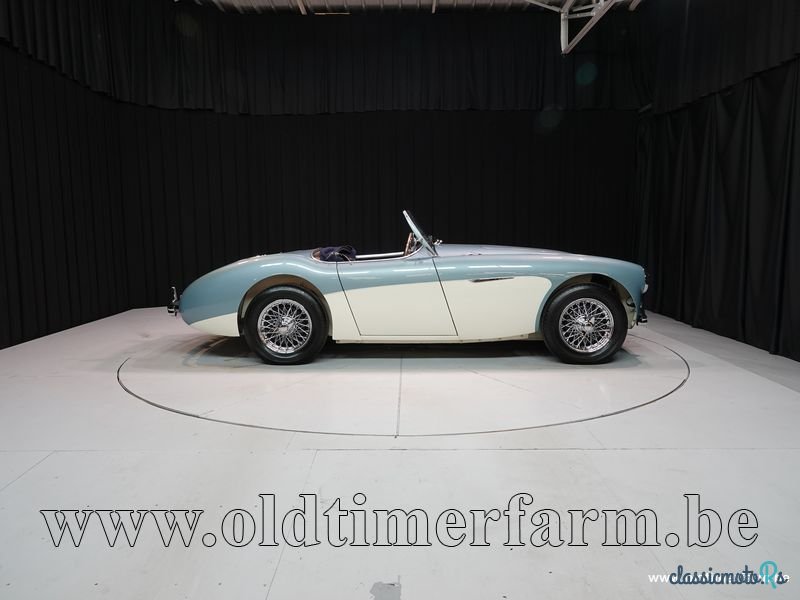 1954' Austin-Healey 100 /4 BN 1 '54 CH4168 photo #3
