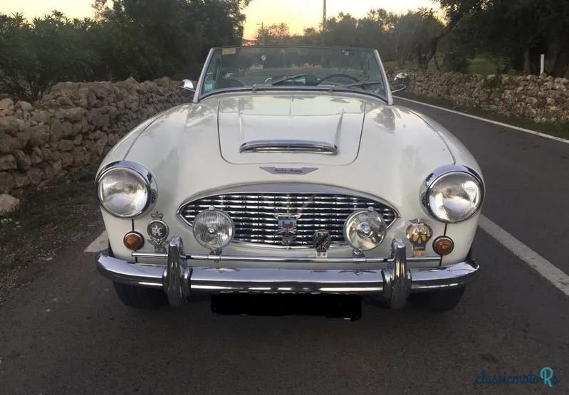 1959' Austin-Healey 3000 photo #2