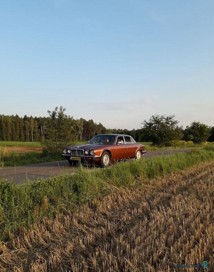 1980' Jaguar XJ photo #4