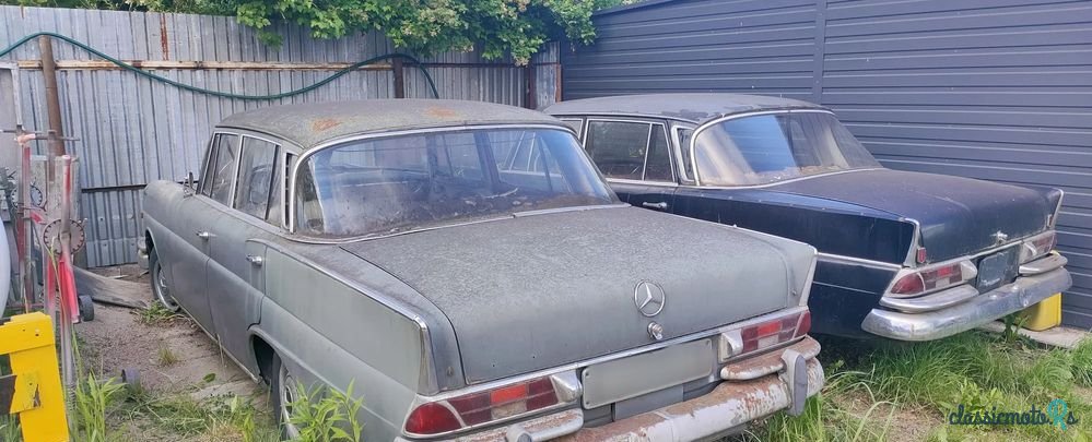 1962' Mercedes-Benz photo #1