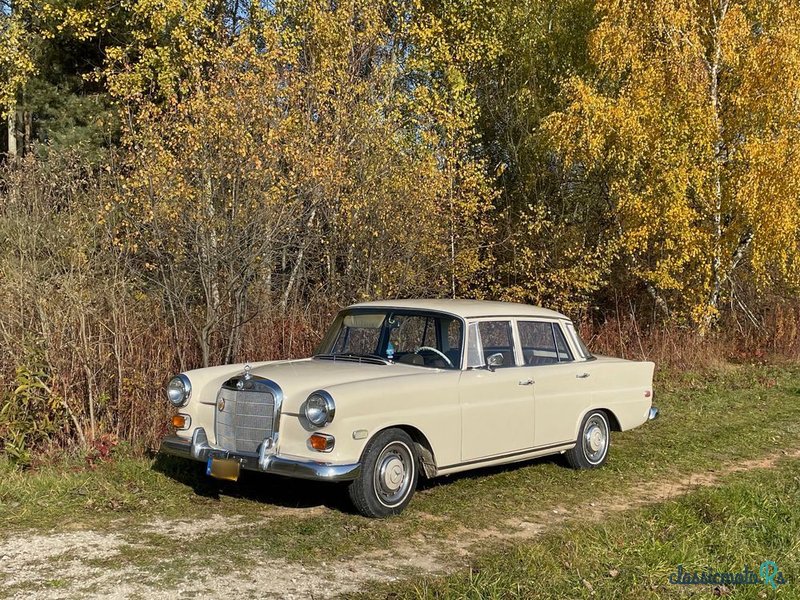 1966' Mercedes-Benz W110 230 photo #1