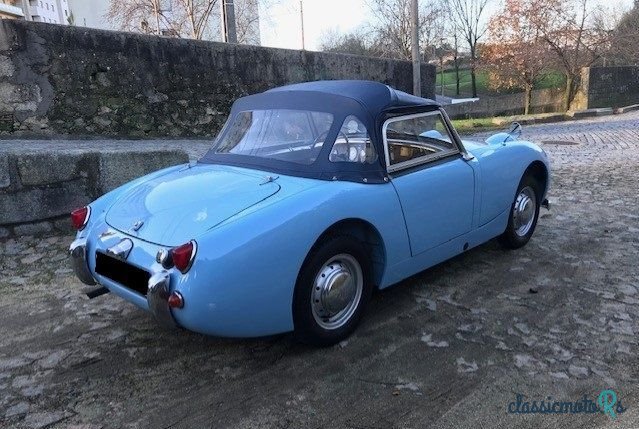 1959' Austin-Healey Sprite photo #4