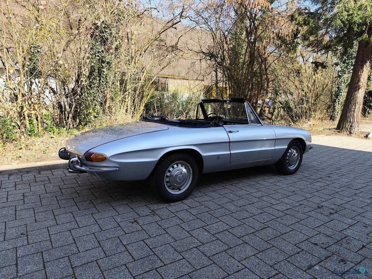 1968' Alfa Romeo Spider Duetto photo #2