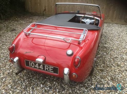 1959' Austin-Healey Sprite photo #1