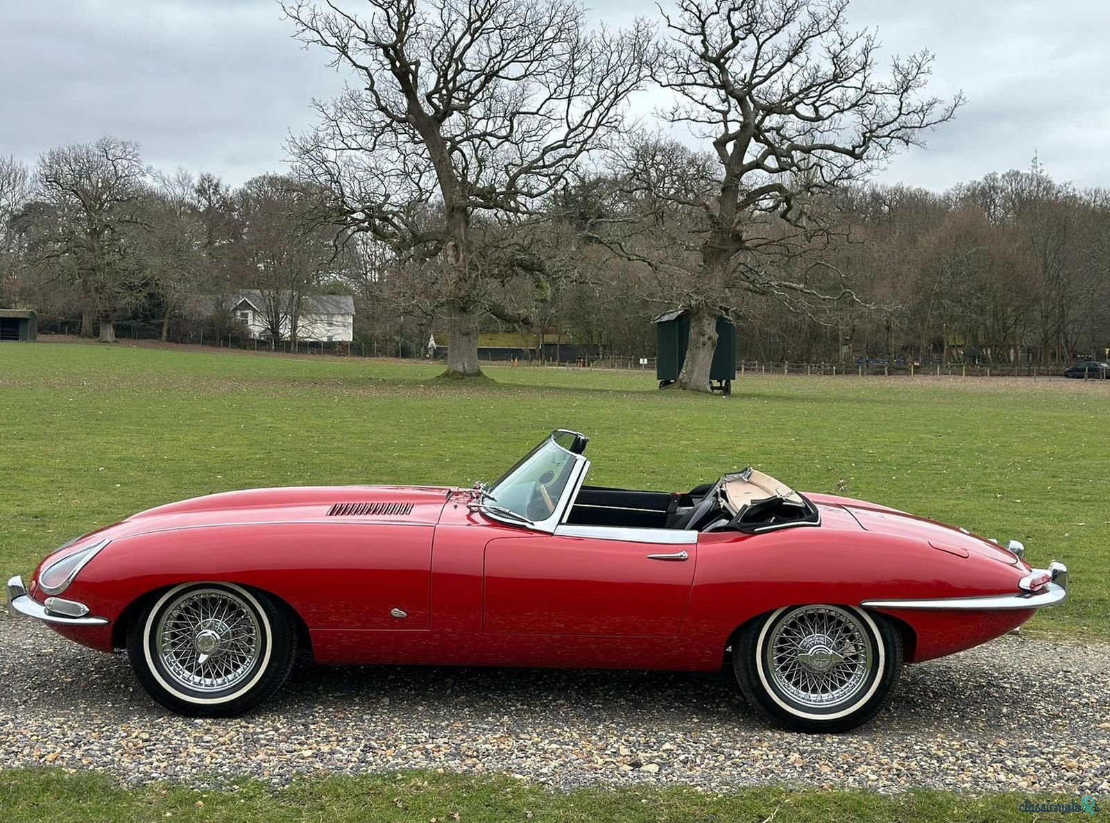 1961' Jaguar E-Type photo #4