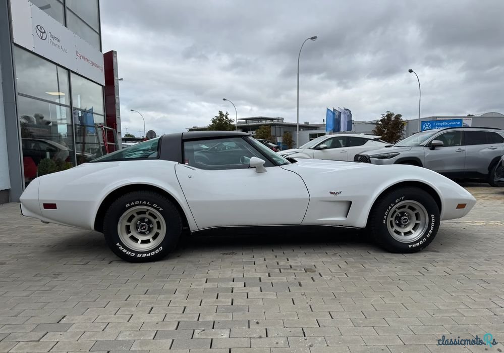 1979' Chevrolet Corvette photo #6