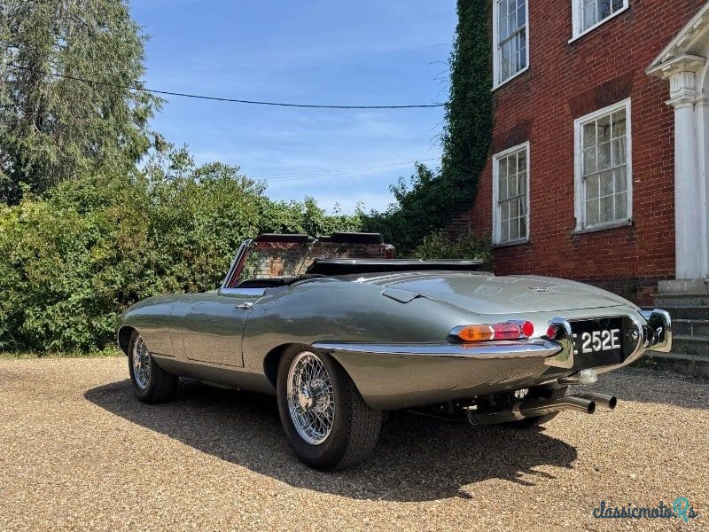 1967' Jaguar E-Type photo #2