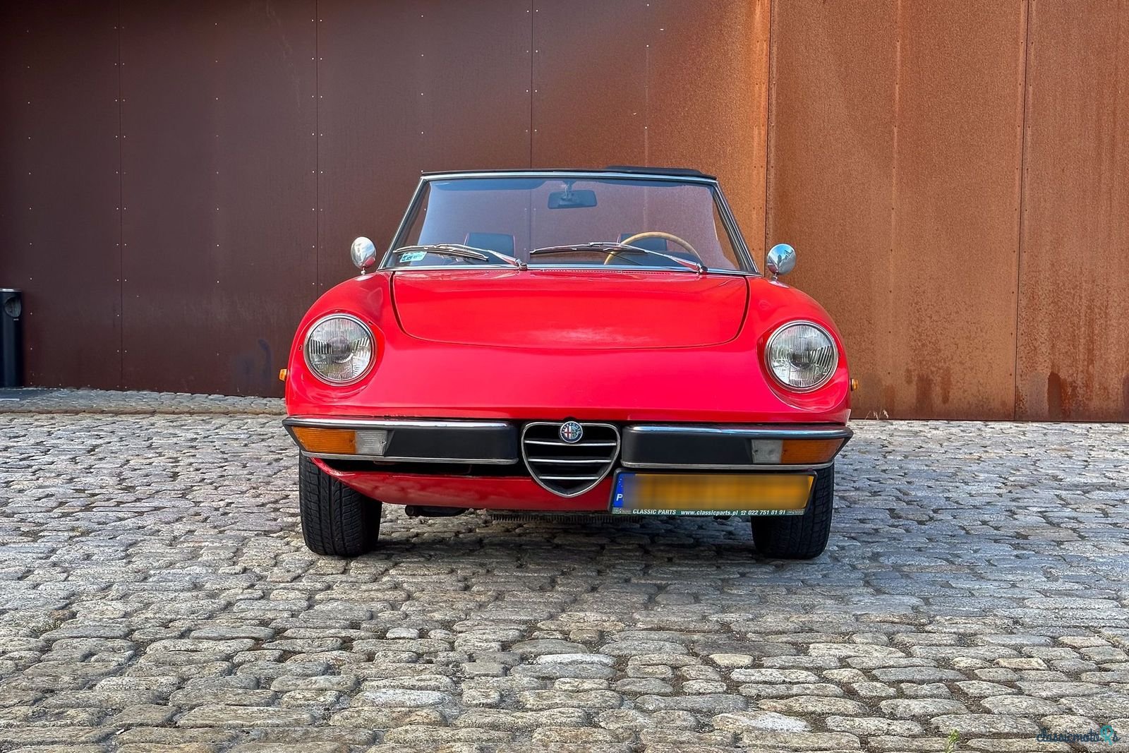 1975' Alfa Romeo Spider photo #5