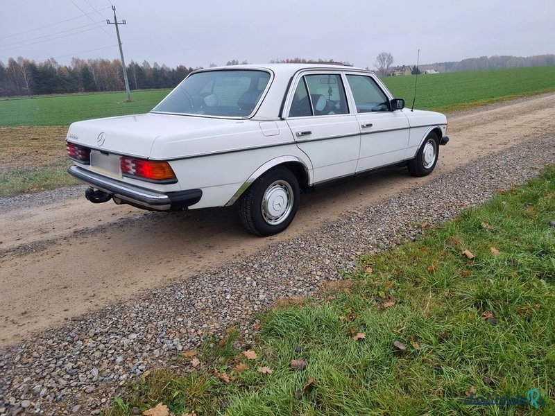 1979' Mercedes-Benz W123 photo #5