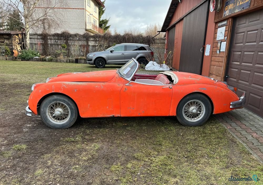 1959' Jaguar XK photo #2