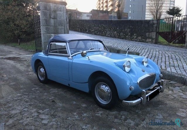 1959' Austin-Healey Sprite photo #4