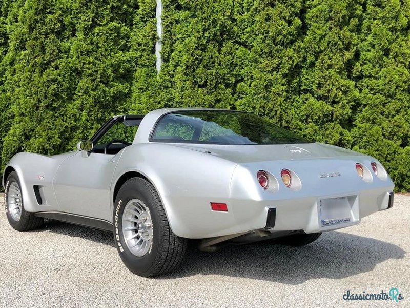 1979' Chevrolet Corvette photo #3