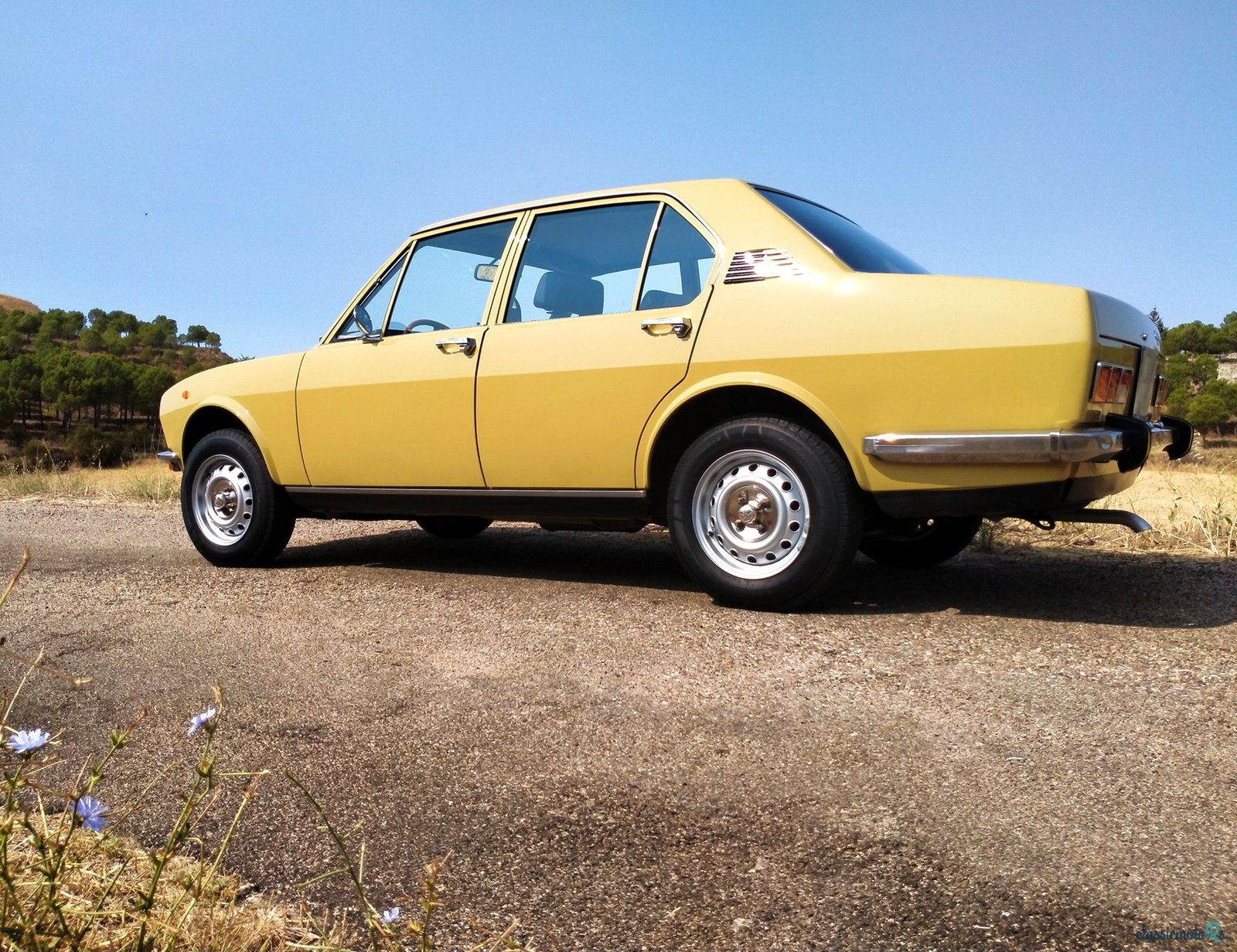 1975' Alfa Romeo Alfetta photo #4