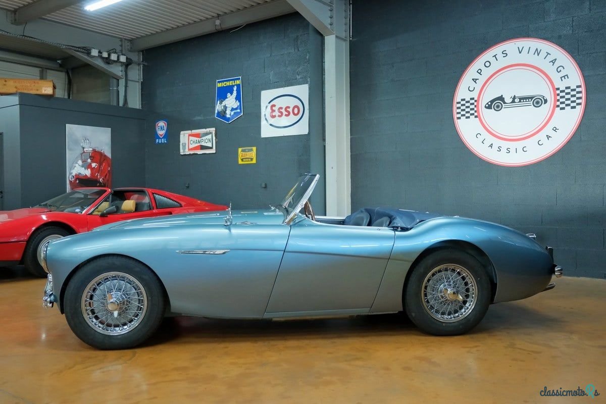 1955' Austin-Healey 100 photo #1