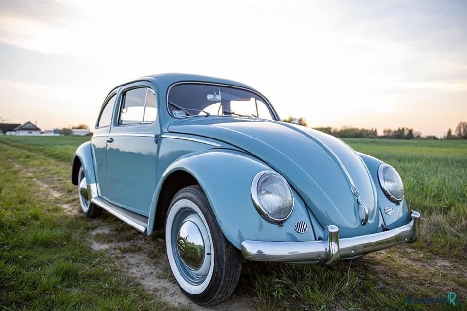 1956' Volkswagen Garbus photo #4