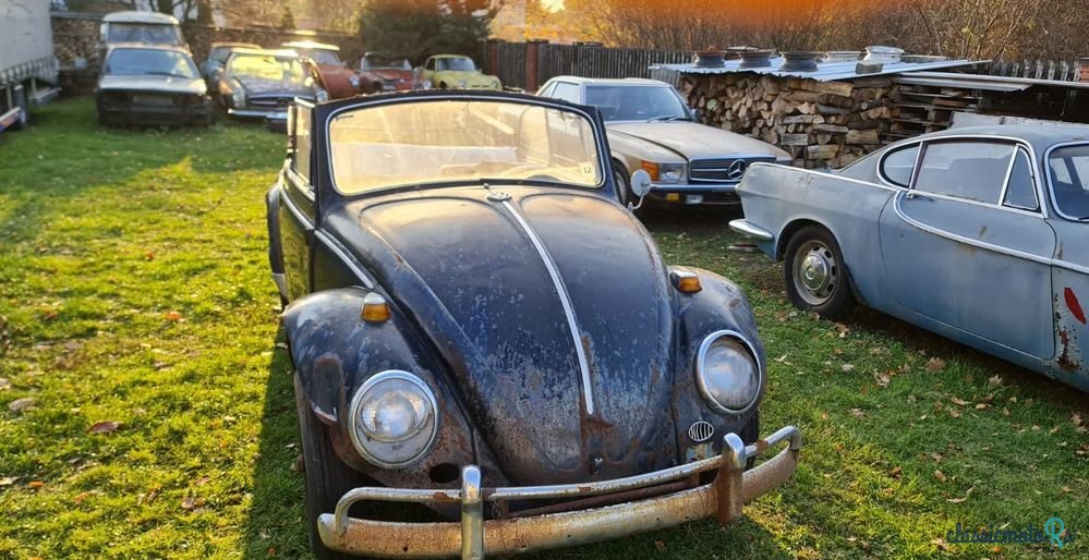 1965' Volkswagen Garbus photo #4