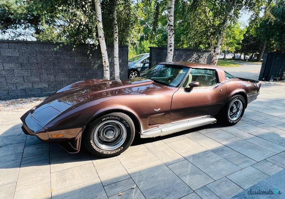 1979' Chevrolet Corvette photo #5