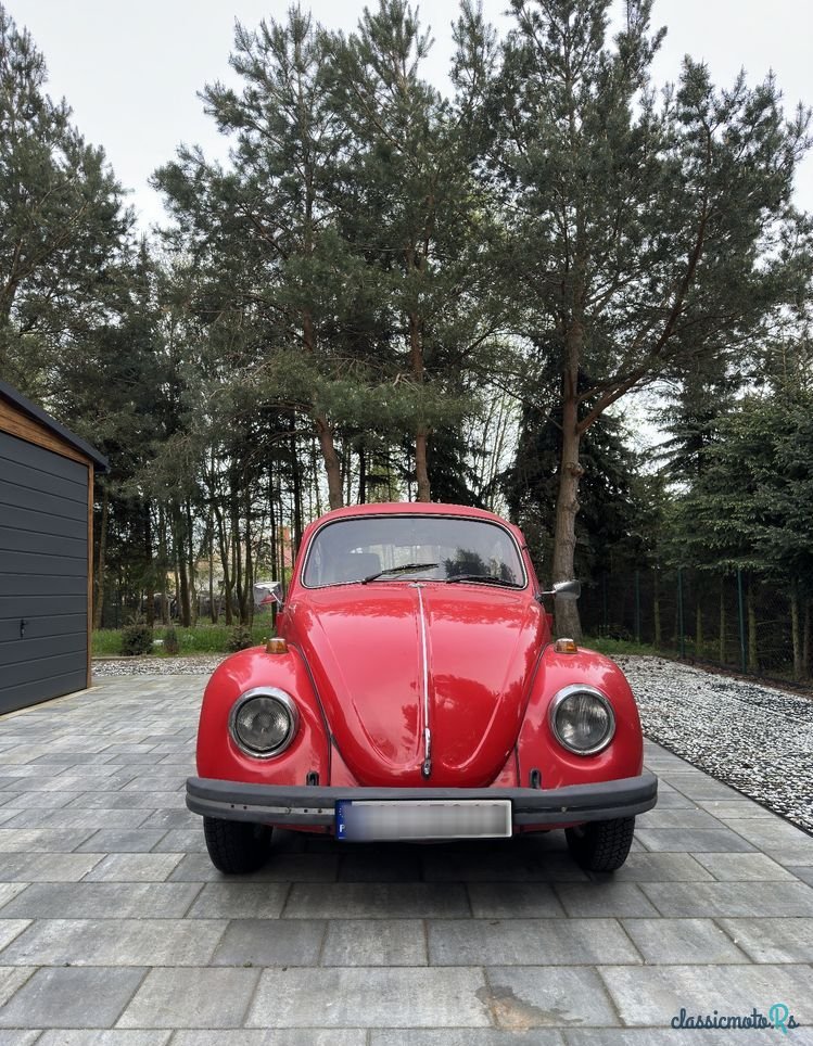 1969' Volkswagen Garbus photo #3