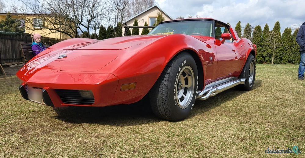 1978' Chevrolet Corvette photo #5