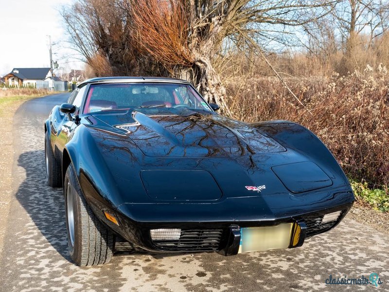 1979' Chevrolet Corvette photo #2