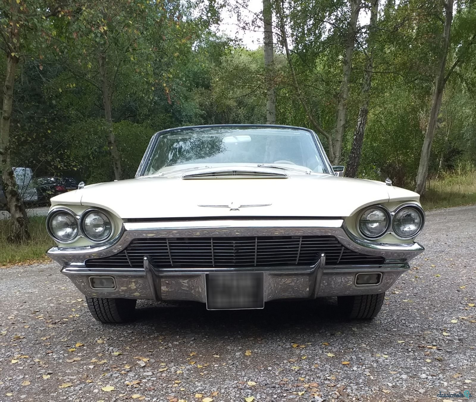 1965' Ford Thunderbird photo #1