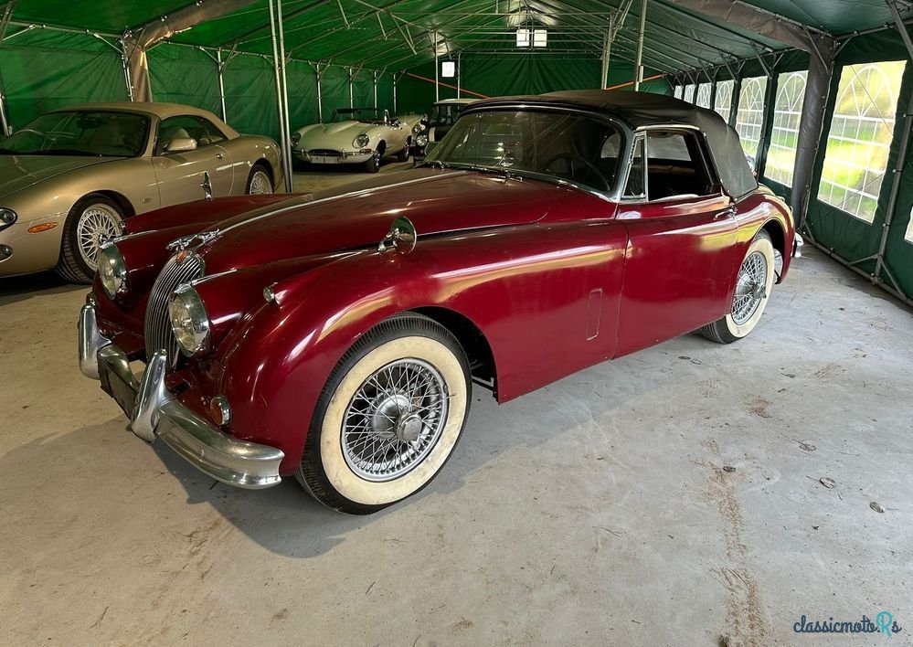1958' Jaguar XK photo #2