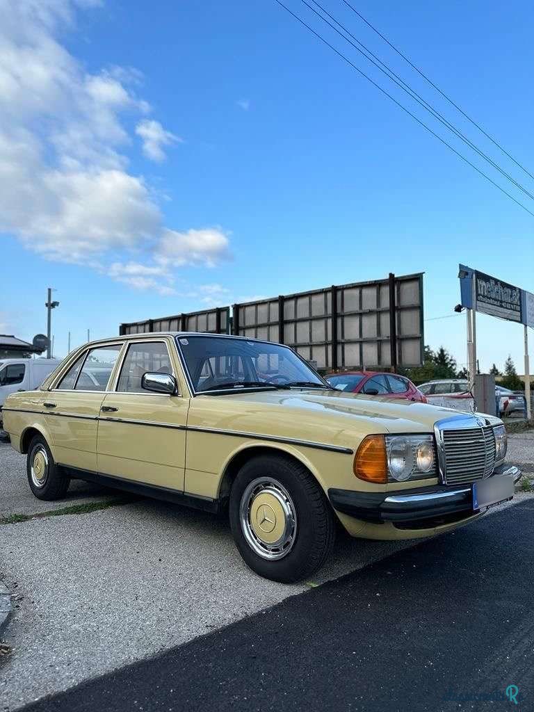 1977' Mercedes-Benz W123 photo #1