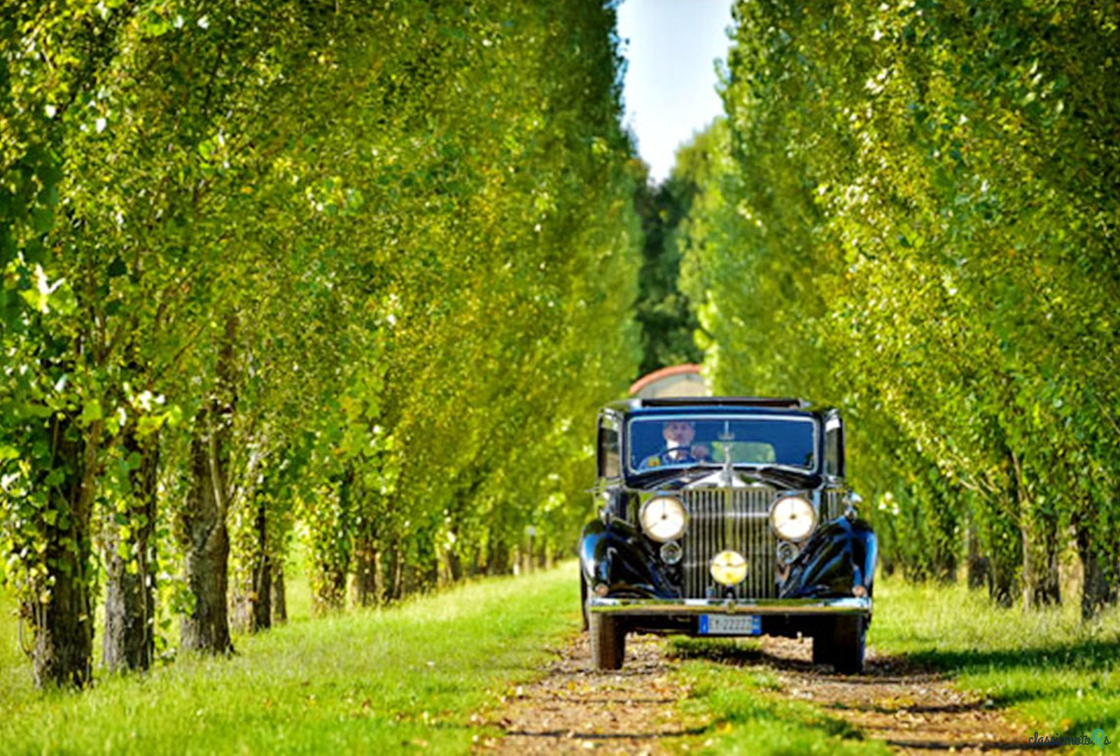 1938' Rolls-Royce 25/30 photo #3