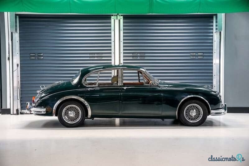 1962' Jaguar E-Type photo #5