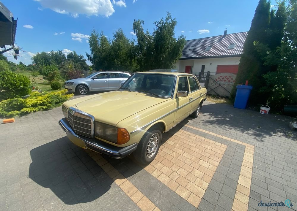 1977' Mercedes-Benz W123 photo #2