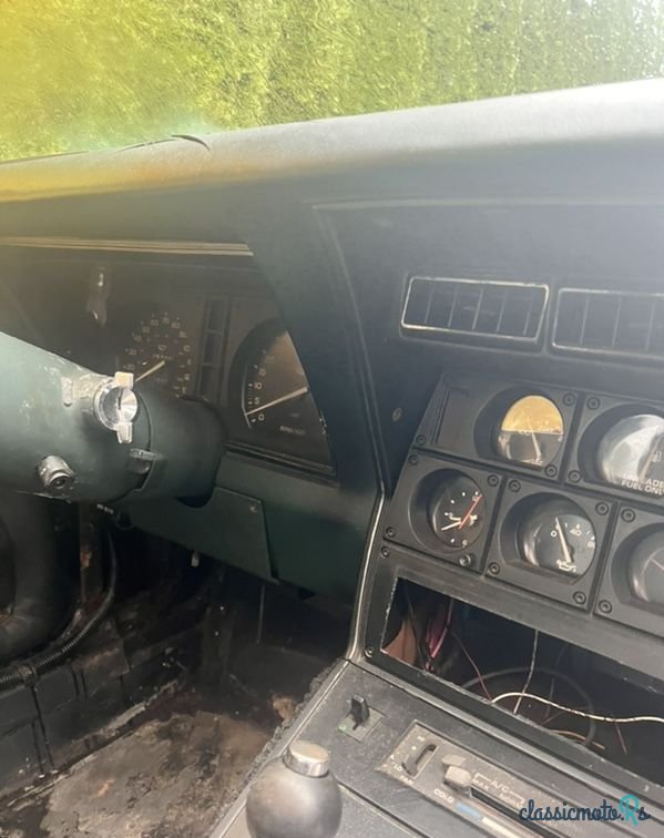 1979' Chevrolet Corvette photo #5