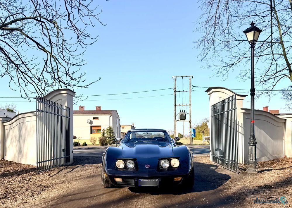 1974' Chevrolet Corvette photo #1