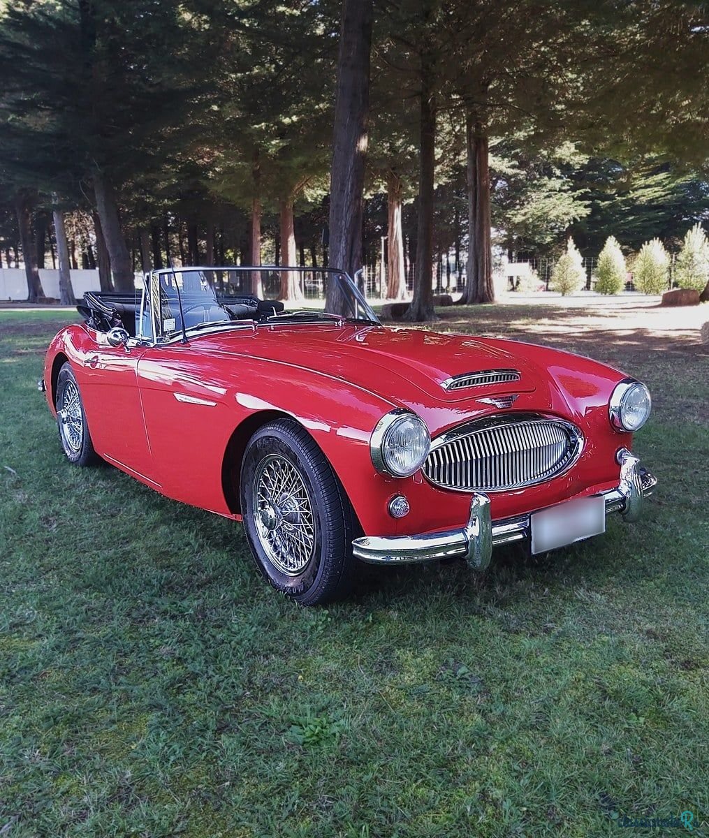 1963' Austin-Healey 3000 photo #1