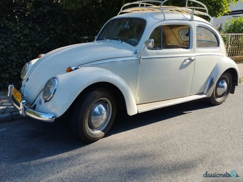1961' Volkswagen Garbus photo #2