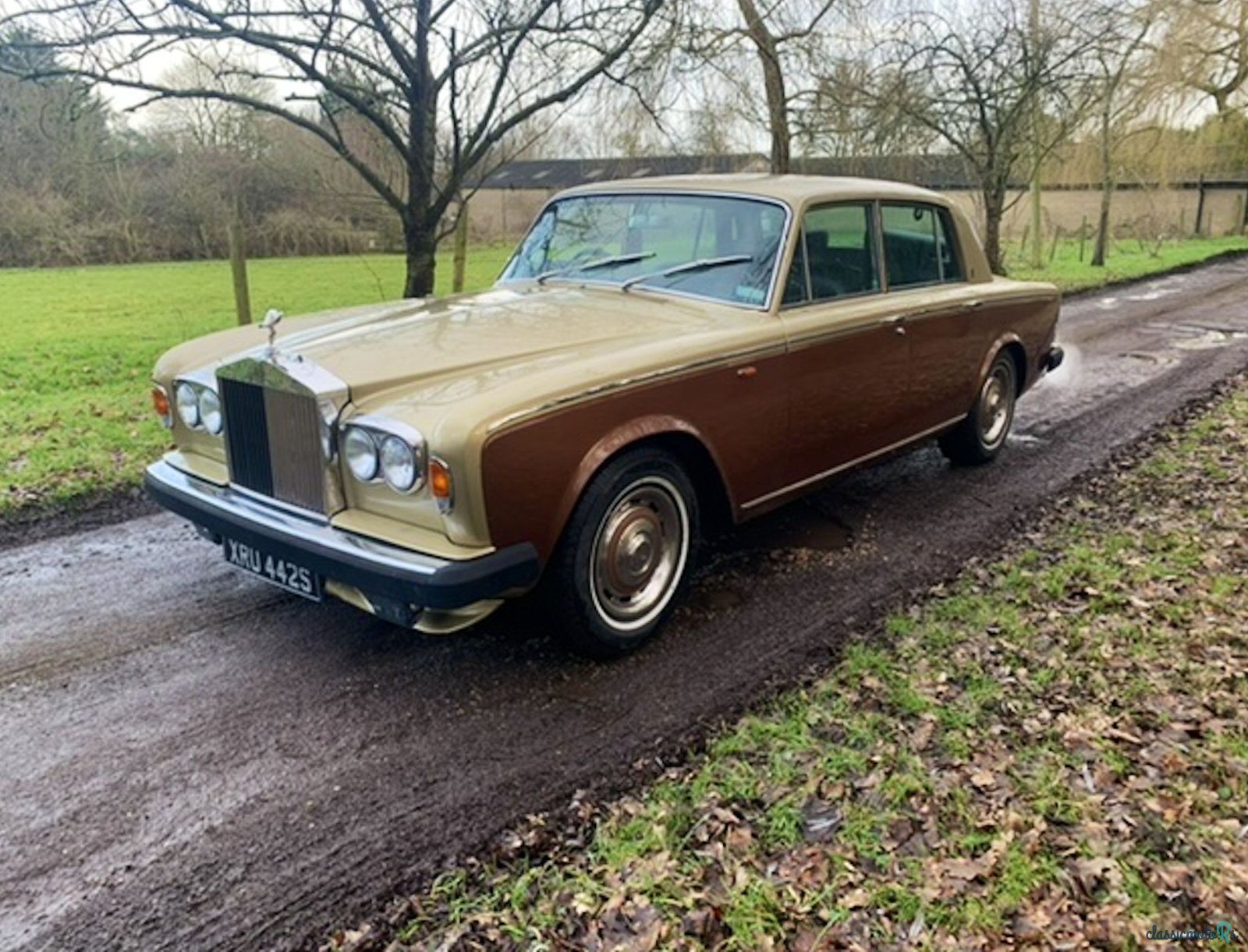 1977' Rolls-Royce Silver Shadow photo #4